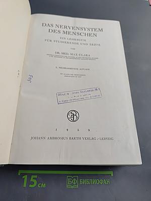 Das Nervensystem des Menschen