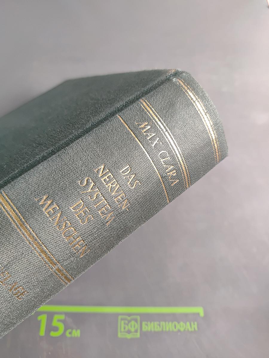 Das Nervensystem des Menschen