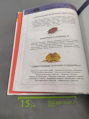 Большая детская энциклопедия