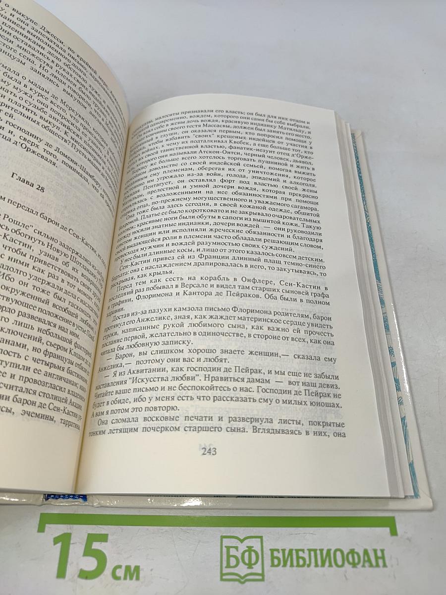 Анжелика. Дорога надежды. Книга 10