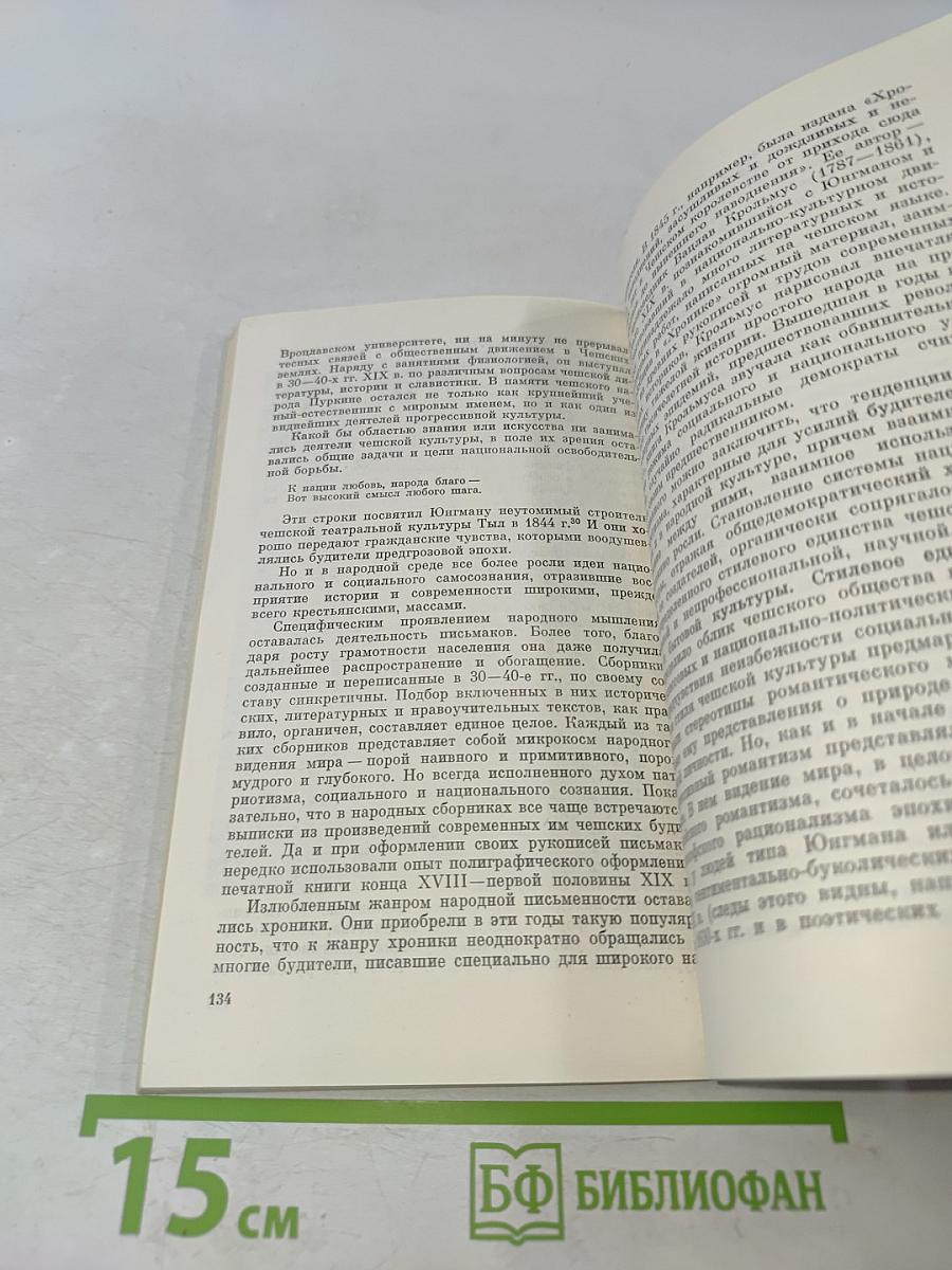 Культура чешского возрождения