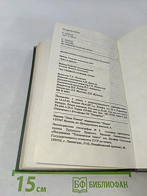 Бес в ребро. На темной стороне луны
