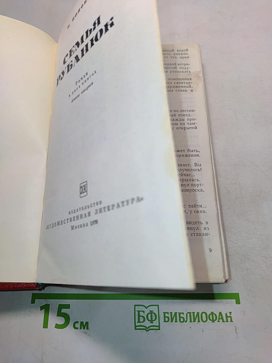 Семья Рубанюк. Книга 2