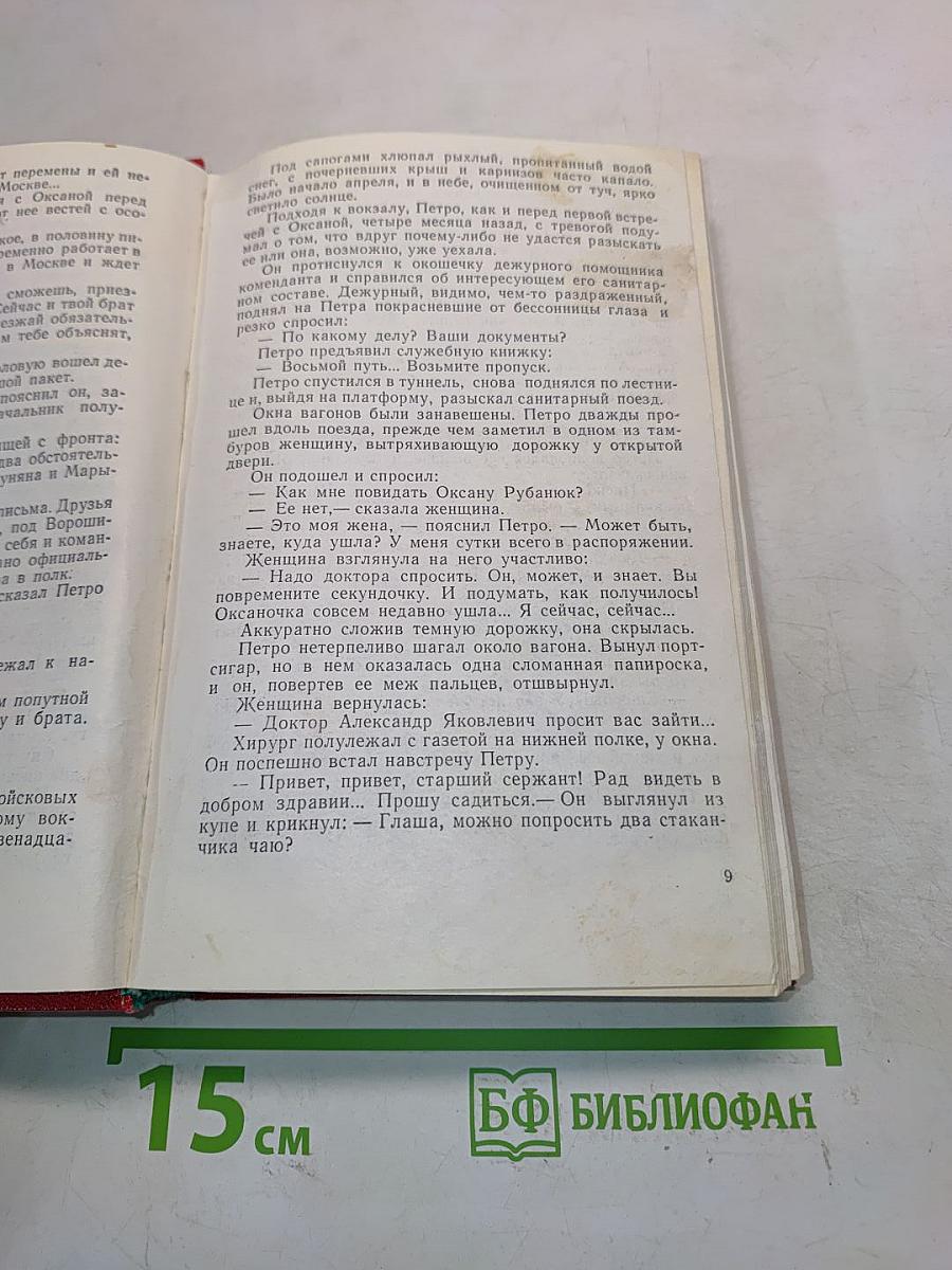 Семья Рубанюк. Книга 2