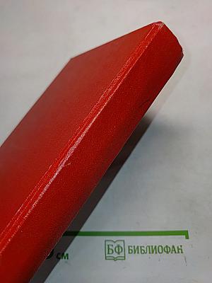 Семья Рубанюк. Книга 2