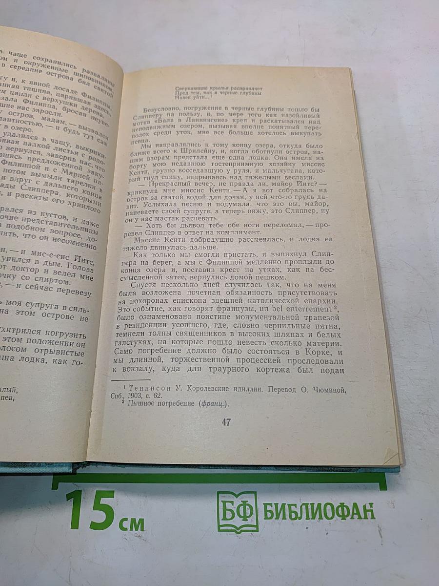Пробуждение. Рассказы ирландских писателей