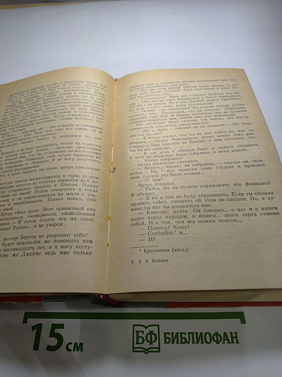 Овод. Прерванная дружба