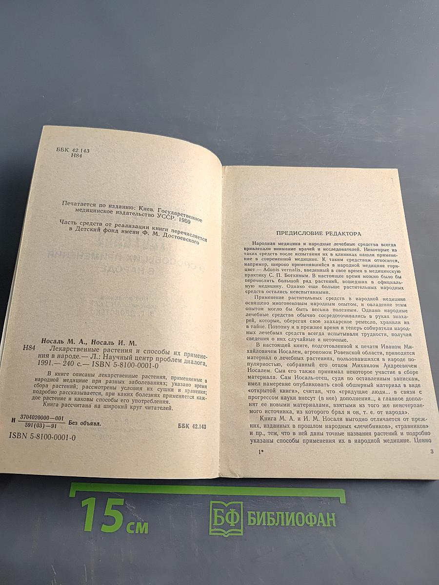 Лекарственные растения и способы их применения в народе