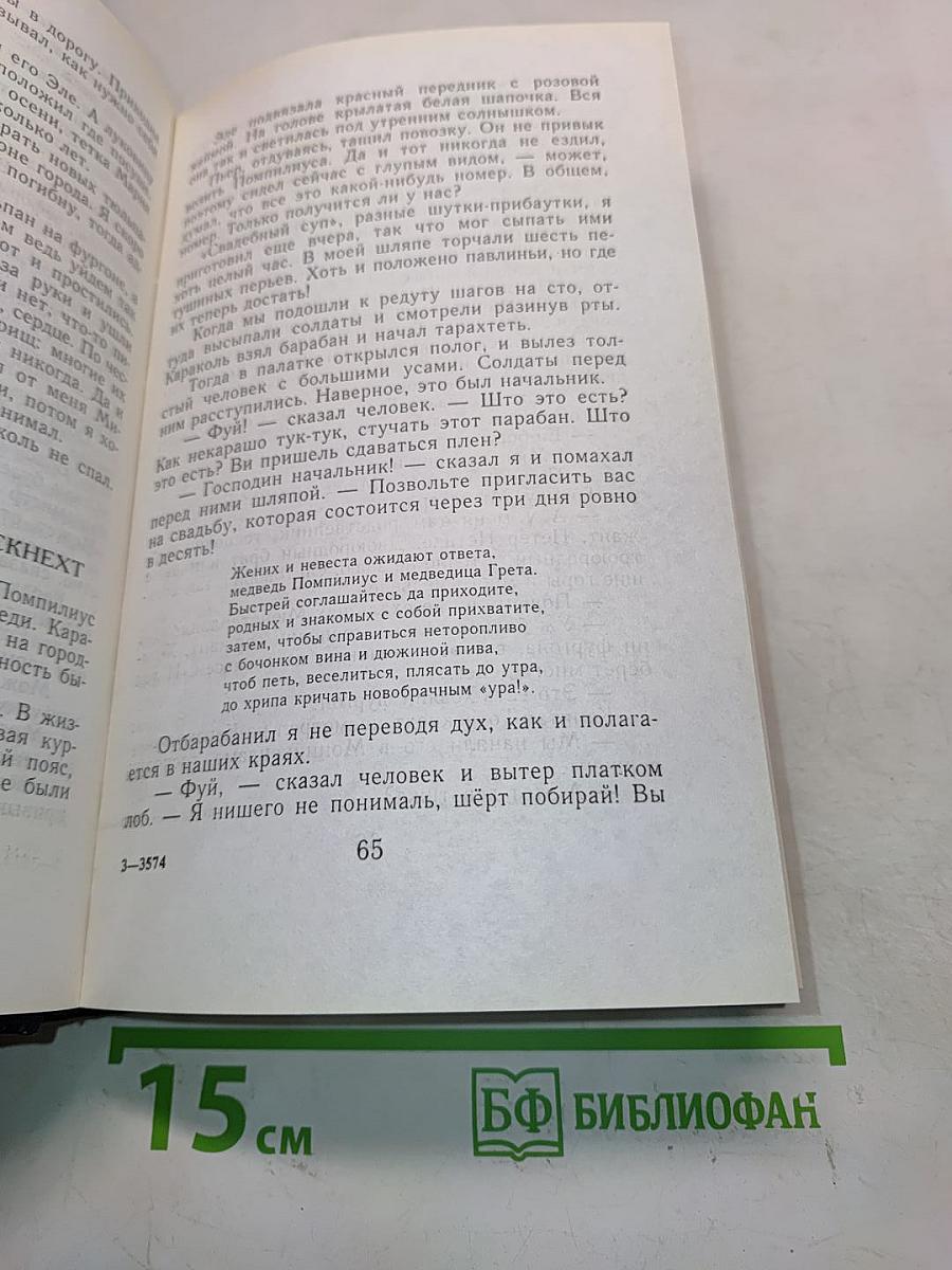 Кеес Адмирал Тютьюльпанов. Морские нищие. Черная галера