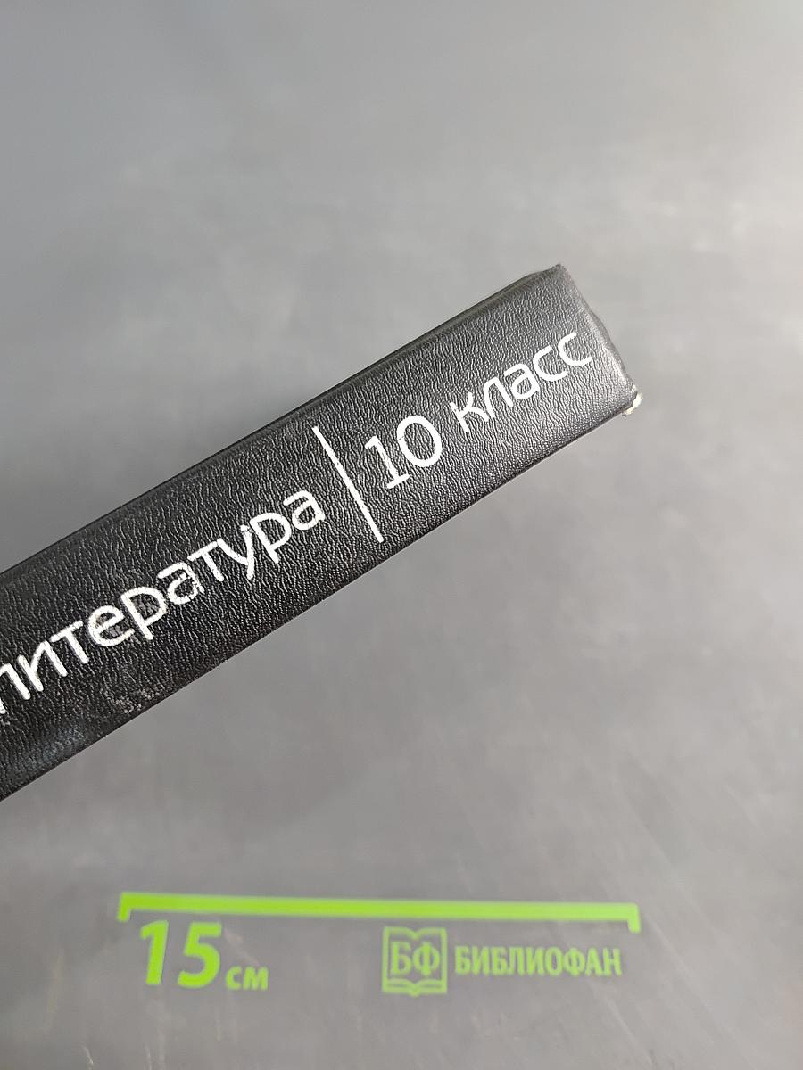 Зарубежная литература. Хрестоматия. 10 класс. Часть 1