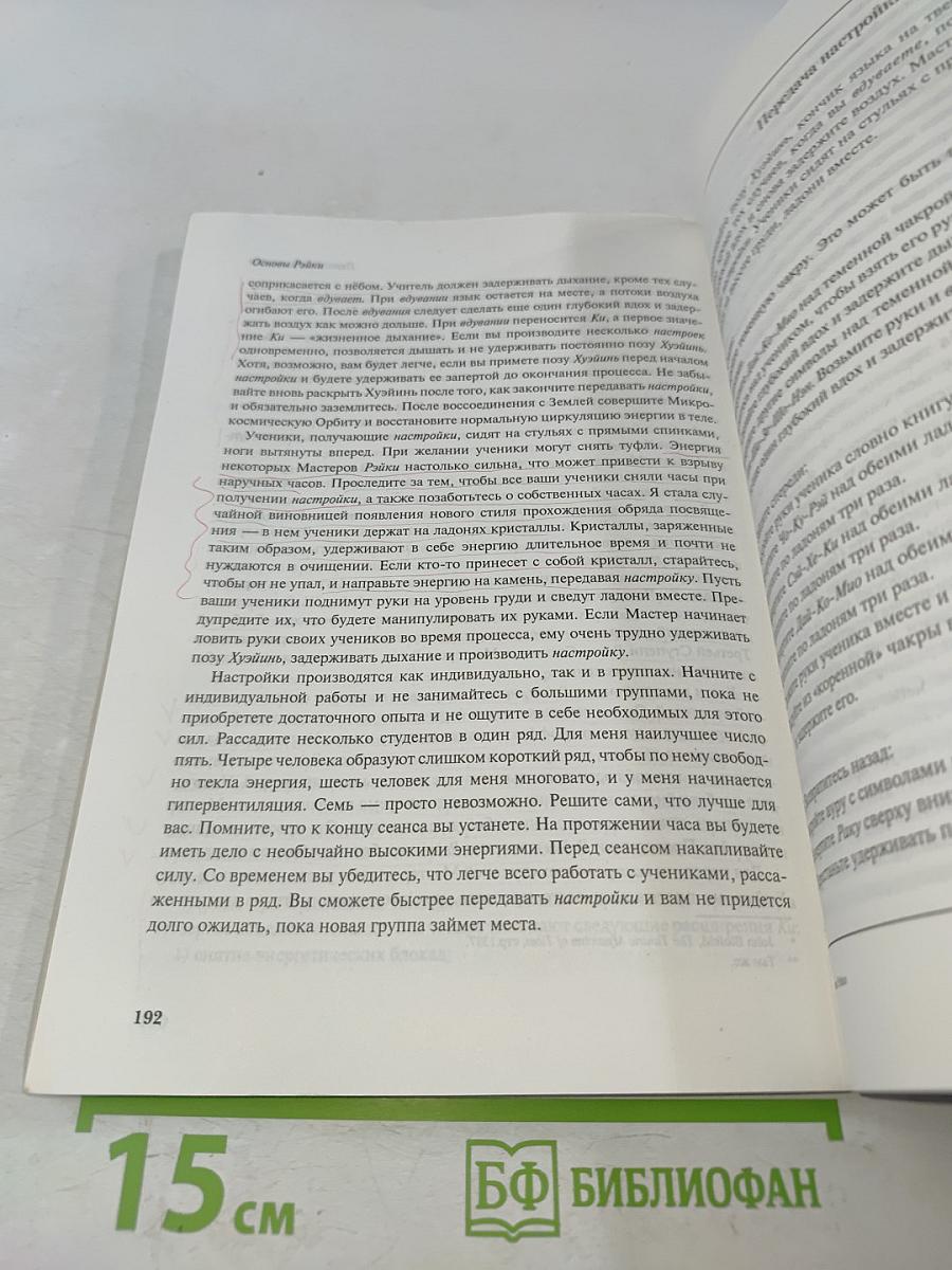 Основы Рэйки. Полное руководство по древнему искусству исцеления