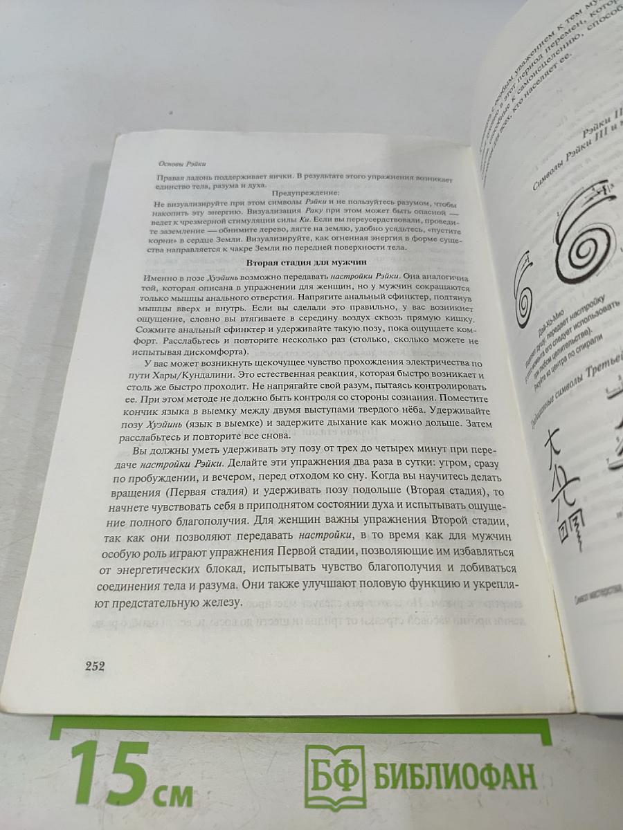 Основы Рэйки. Полное руководство по древнему искусству исцеления