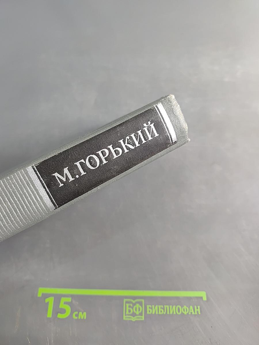 Собрание сочинений в 16 томах. Том 12. Жизнь Клима Самгина (Сорок лет)