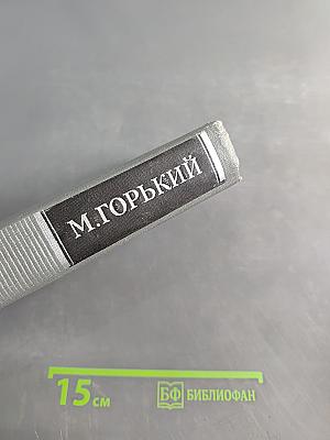 Собрание сочинений в 16 томах. Том 12. Жизнь Клима Самгина (Сорок лет)