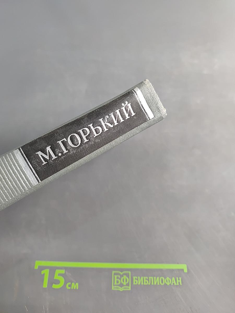 Собрание сочинений в 10 томах. Том 11. Жизнь Клима Самгина (Сорок лет)