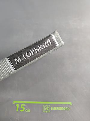 Собрание сочинений в 10 томах. Том 11. Жизнь Клима Самгина (Сорок лет)