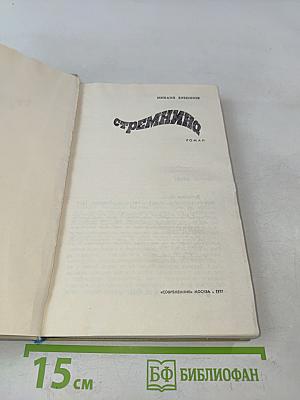 Стремнина. Роман