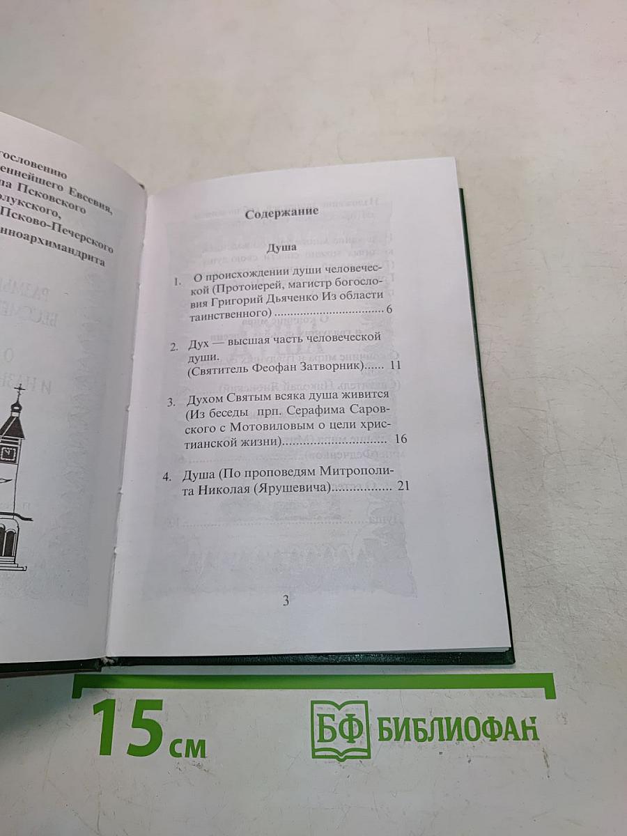 Размышления о бессмертной душе