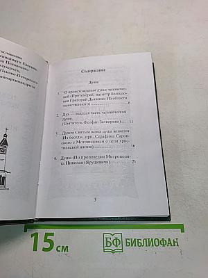 Размышления о бессмертной душе