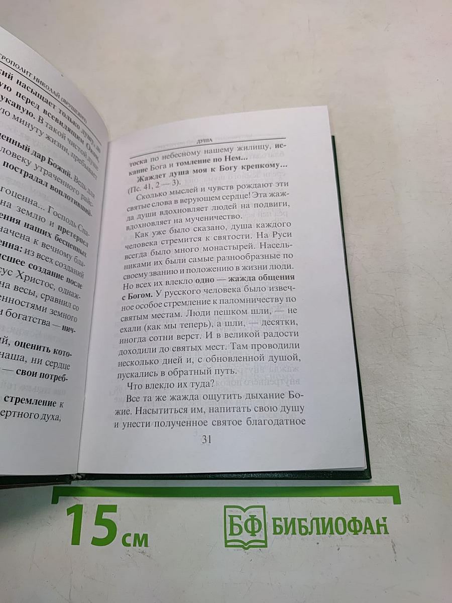 Размышления о бессмертной душе