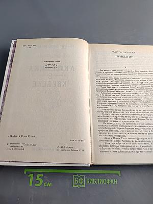 Анжелика в Квебеке. Книга 9