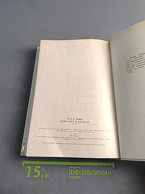 Анжелика в Квебеке. Книга 9