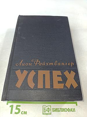 Успех. Три года из истории одной провинции