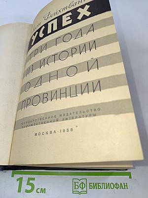Успех. Три года из истории одной провинции