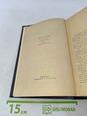 Успех. Три года из истории одной провинции