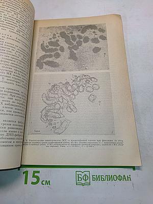 Цитология. Том XXX, № 9
