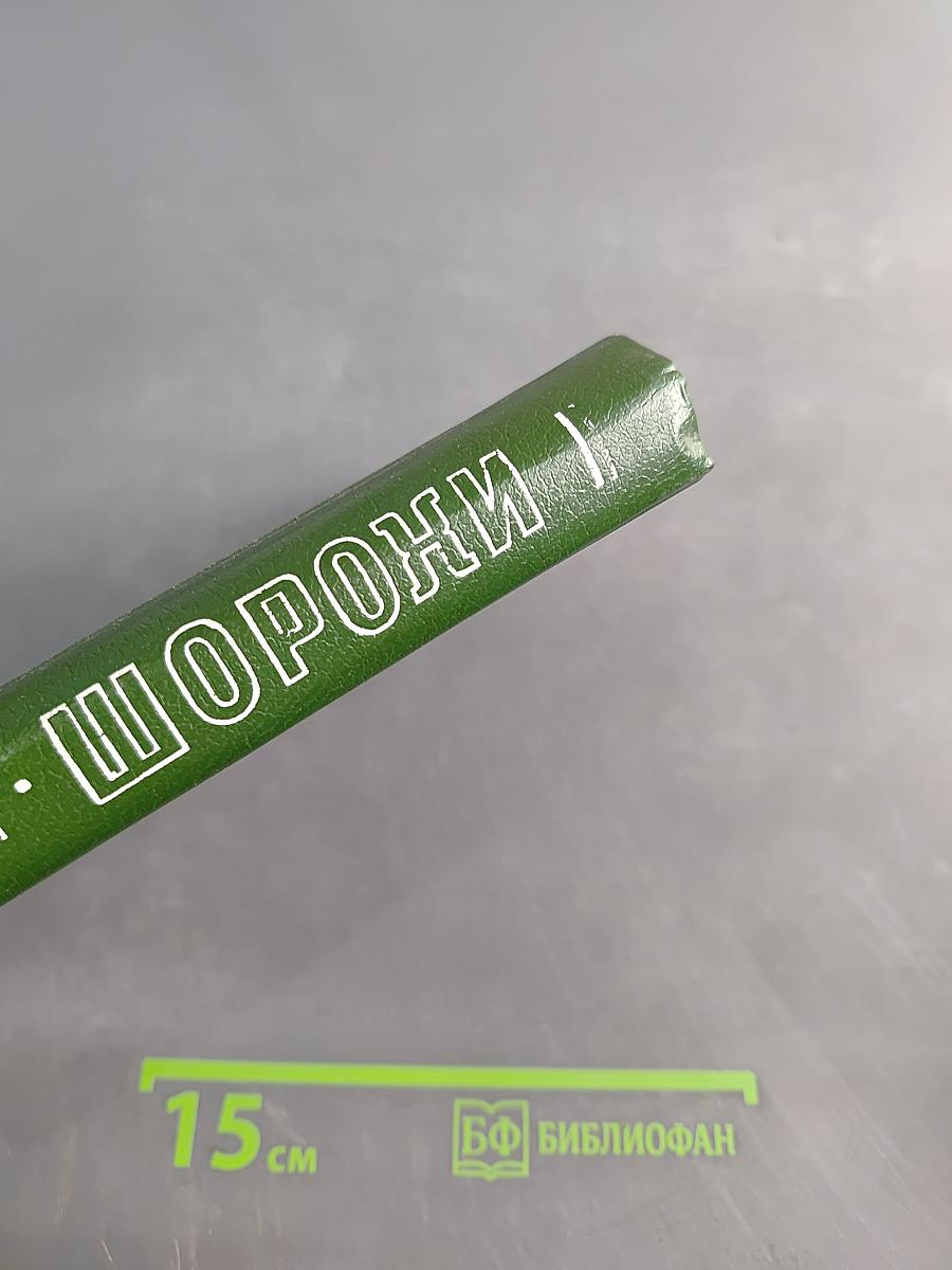 Шорохи