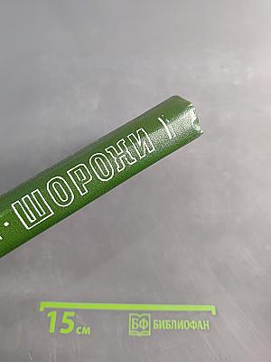 Шорохи