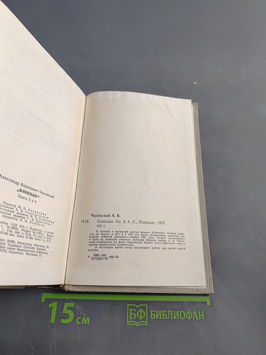 Блокада. Книги третья и четвертая