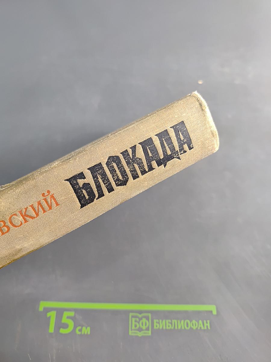 Блокада. Книги третья и четвертая