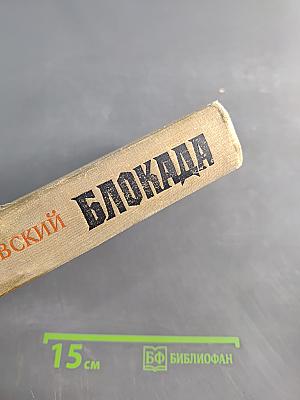 Блокада. Книги третья и четвертая