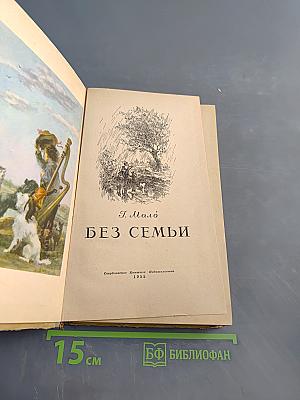 Без семьи