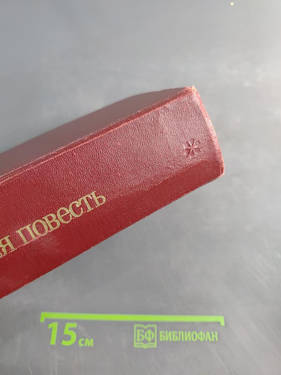 Зарубежная повесть