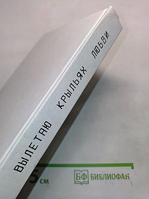 Вылетаю крыльях любви