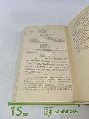Хлебозоры