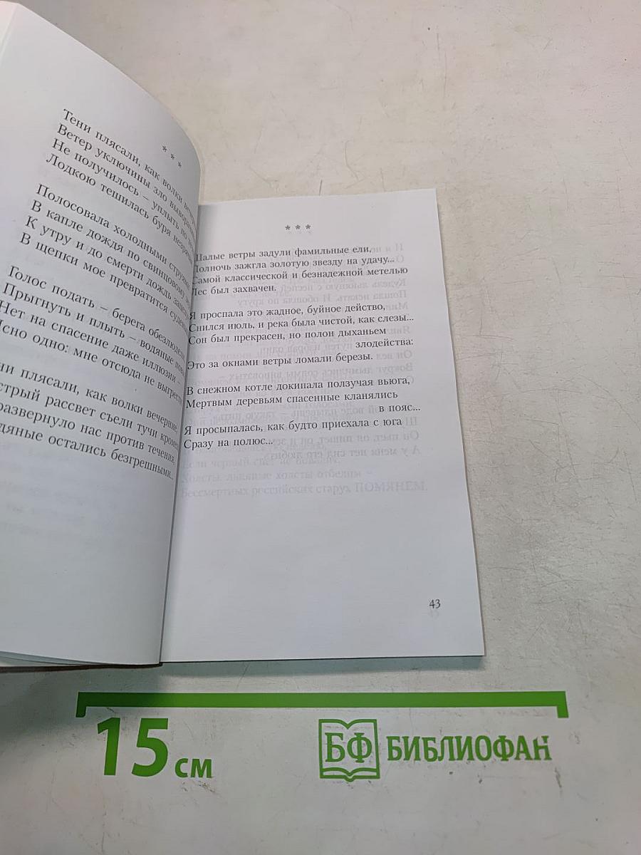 Держись Горы
