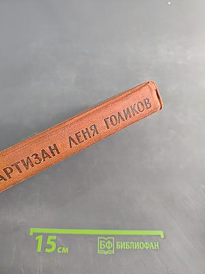 Партизан Лёня Голиков