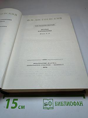 Братья Карамазовы. Том четырнадцатый