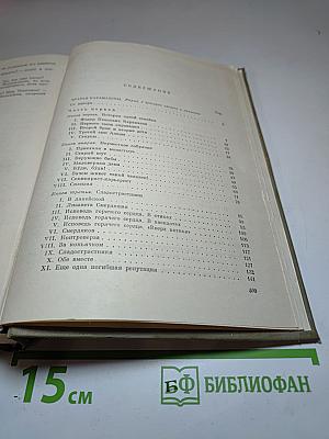 Братья Карамазовы. Том четырнадцатый
