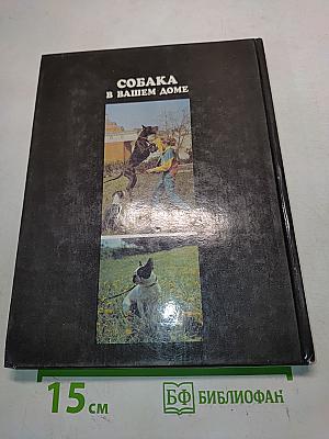 Собака в вашем доме