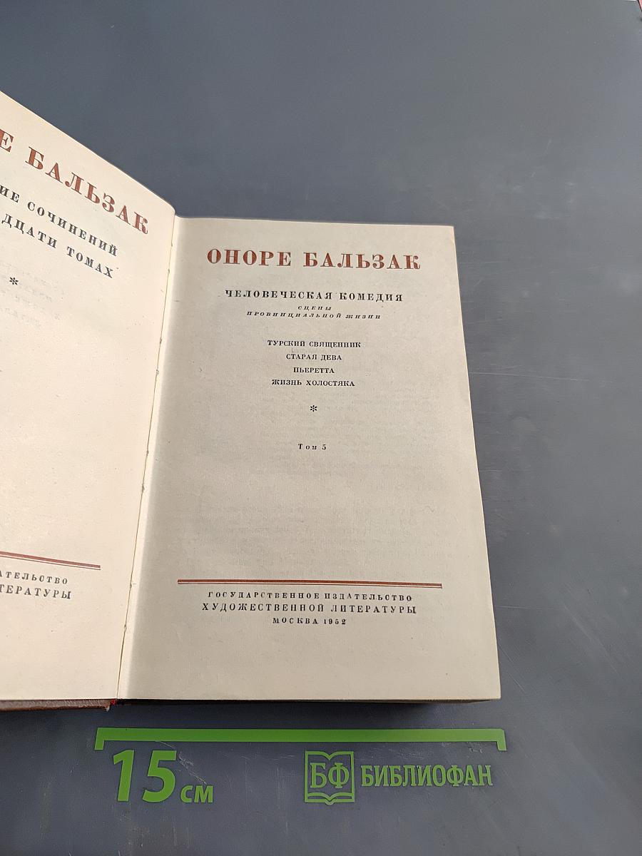 Человеческая комедия. Сцены провинциальной жизни. Том 3