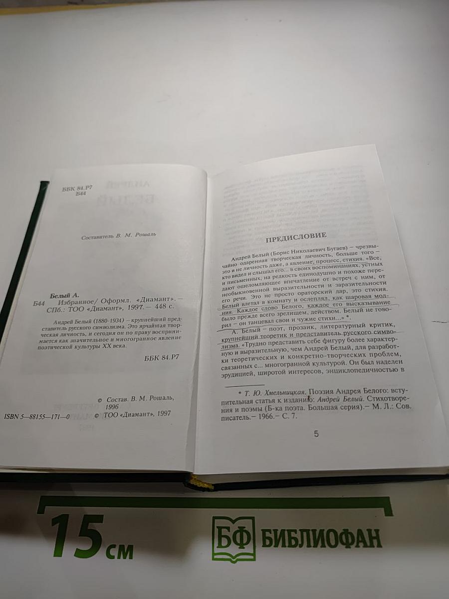 Андрей Белый. Избранное