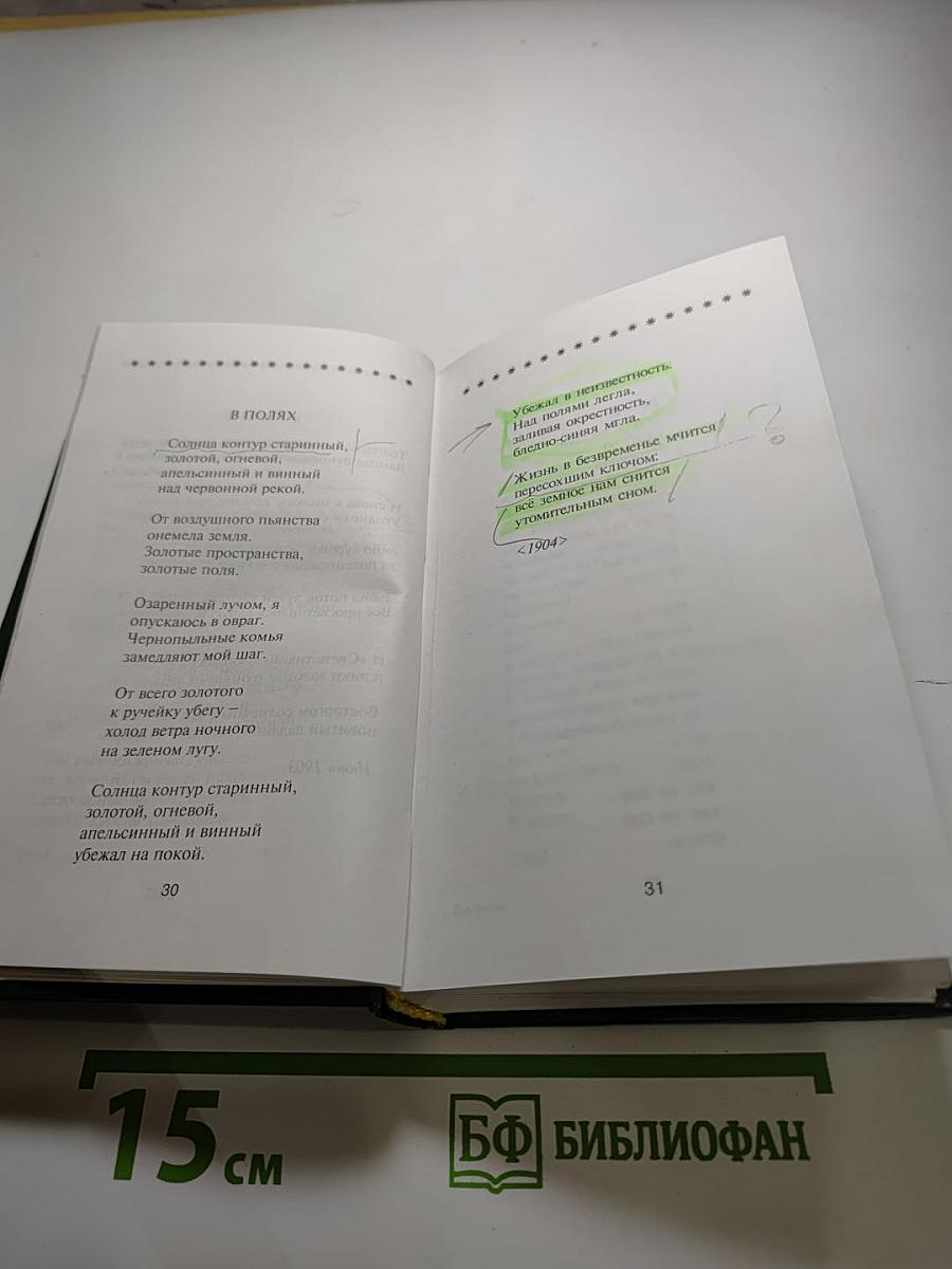 Андрей Белый. Избранное