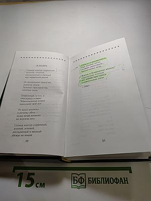 Андрей Белый. Избранное