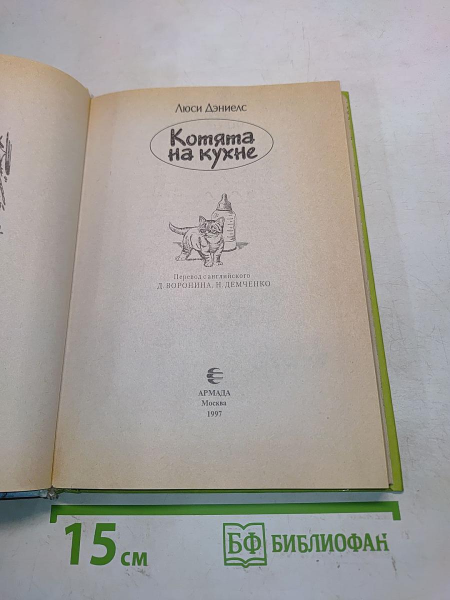 Котята на кухне. Пони во дворе