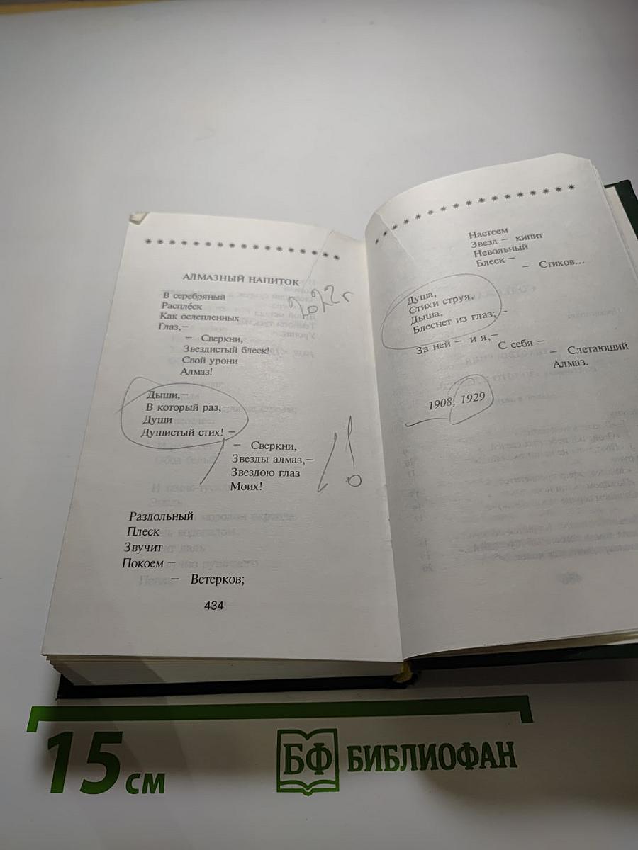 Андрей Белый. Избранное